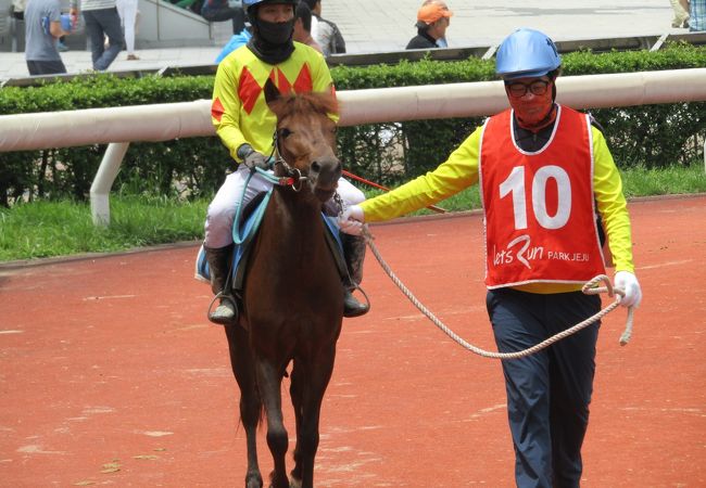 済州競馬公園 (レッツランパーク済州)