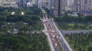 緑の間を真っ直ぐ伸びます