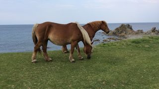 一度は訪ねてみたい場所