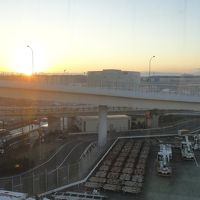 部屋から見た成田の朝です