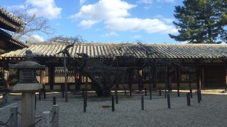 夢殿もチェックしましょう