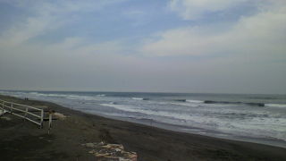 風が強かったー