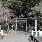 花庭園の枝垂れ梅が見事