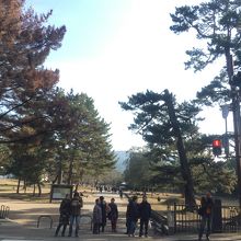 広々していて緑も豊か