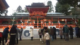 年始は早朝がオススメ