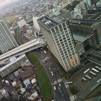 レストランからの眺め