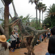 近くでショーもやってました。