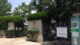 手入れのゆき届いた花壇