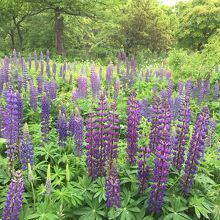 一番目立ってました