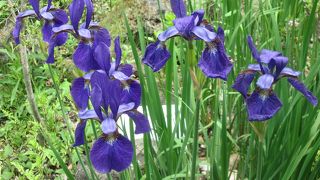 四季それぞれのお花を見ることができます