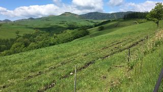 日本一広い牧場の展望