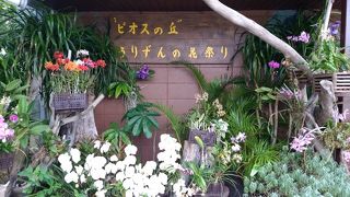 子供も楽しめる