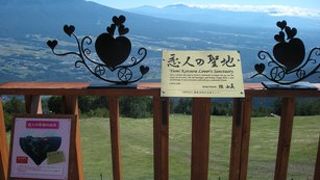 高山植物の宝庫です