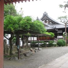 趣のあるお寺です