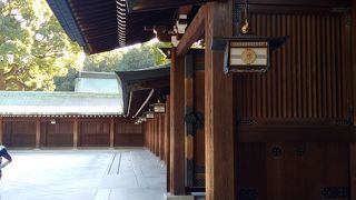 お参りは、明治神宮でしょ。