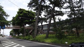 江戸時代の面影を残している松並木