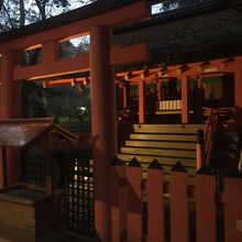 早朝は少し暗い