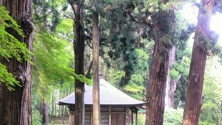 世界遺産の金色堂