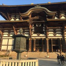 青空に映えます