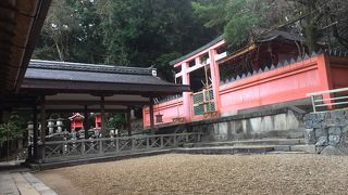 春日大社のすぐ隣