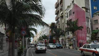 見るだけでも楽しいですね