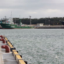 波崎新港の風景です。大型漁船が停泊しています。