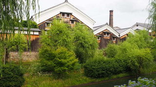 日本酒の試飲ができます