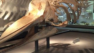 じっくり学べる