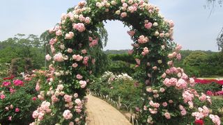 花のテーマパークです