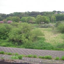 長津川親水公園