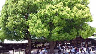 しめ縄で結ばれた