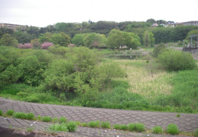 長津川親水公園