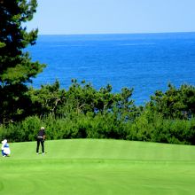 太平洋が見えるホール