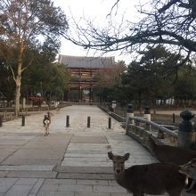 遠くからでも存在感抜群