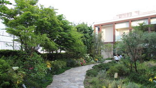 ホワイトガーデン