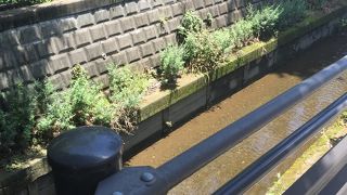 砧からずっと多摩川の合流まで歩いてみて