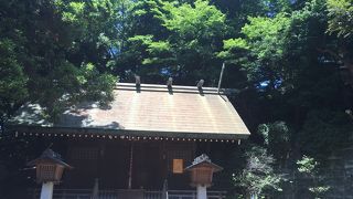 お社の後ろの緑がとてもきれいな神社