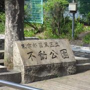 林試の森公園近くです