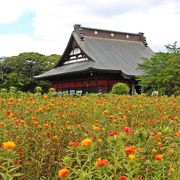 紅花が満開のお寺は 宝くじ高額当選祈願の パワースポット!?／象のお寺の長福寿寺