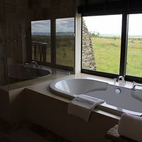 bath room with a view