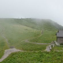 山頂につづく道