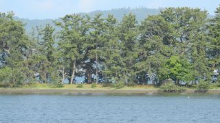 海から見る天橋立も良かった