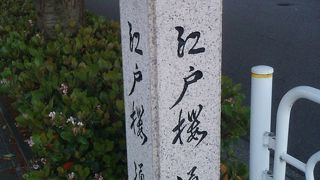 桜の名所として