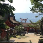 美しい厳島神社