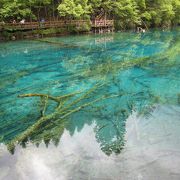 九寨溝（世界遺産）の五花海