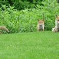 初心者にもやさしいゴルフコース