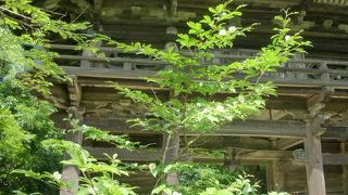 沙羅双樹　人知れず・・・