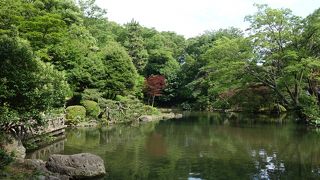 緑濃く素晴らしい