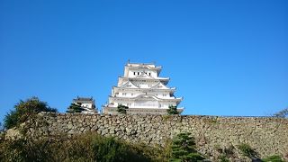 青空と白鷺城のコントラスト