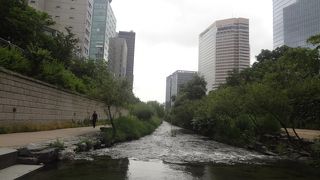 緑の自然豊かな人口河川